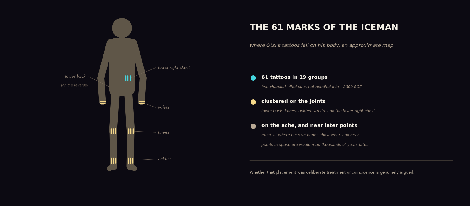 An original diagram: a schematic human figure with clusters of small tick-marks at the wrists, knees, ankles, and lower right chest, labelled, beside a panel headed 'The 61 Marks of the Iceman' explaining that Otzi's tattoos cluster on his joints and near later acupuncture points