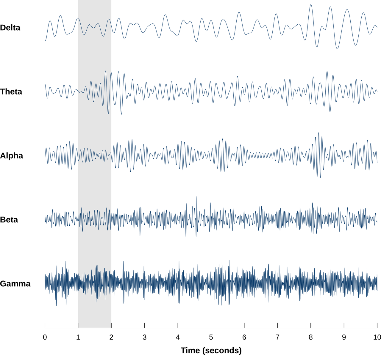 A diagram of the five standard EEG frequency bands, delta, theta, alpha, beta, and gamma, shown as waveforms of increasing frequency
