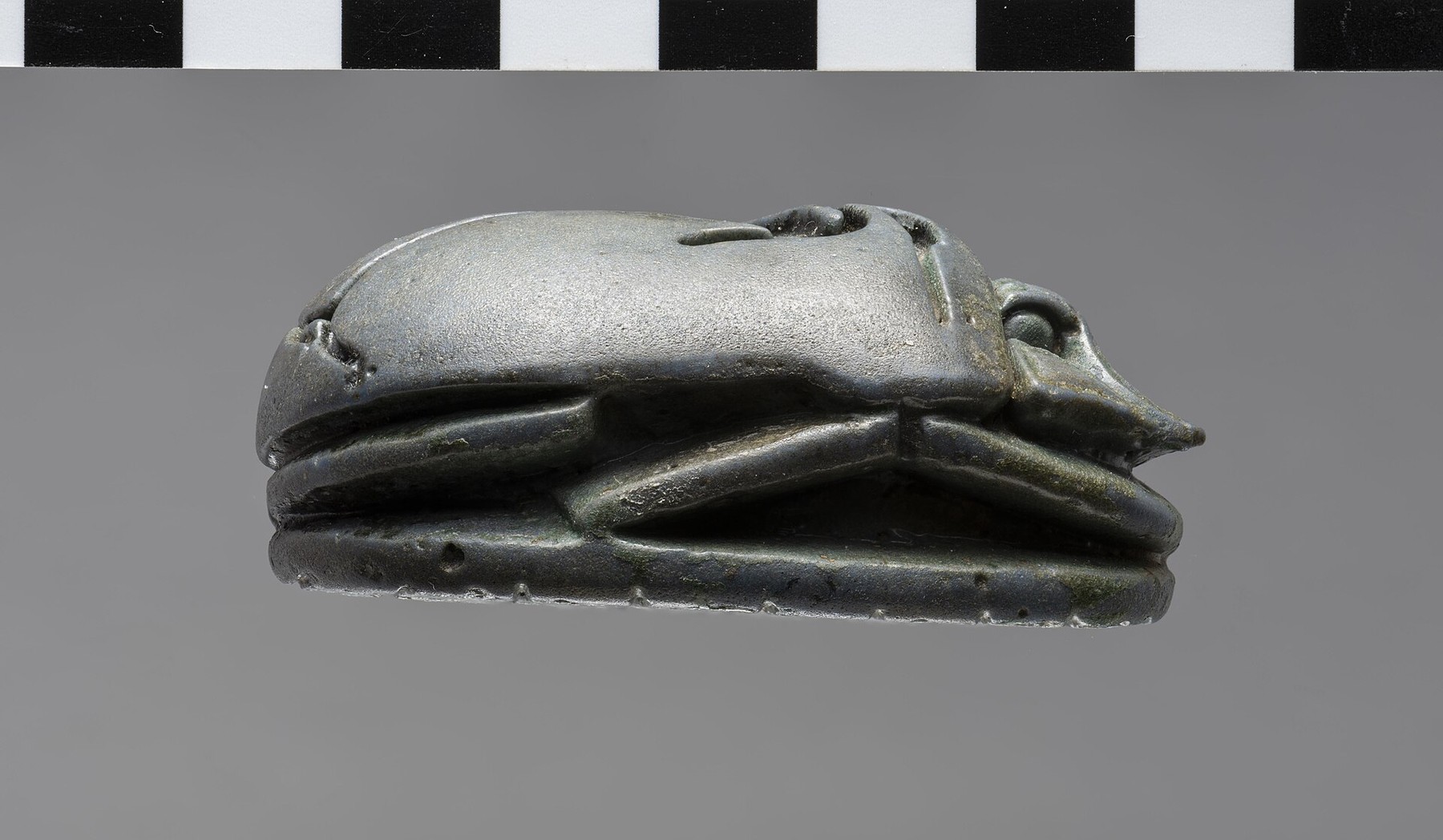 A museum object photograph on a mid-grey ground with a black and white checkerboard photographic scale running along the top edge. The object is a dark green-black stone scarab beetle carved in the round, seen in profile from the side. The domed back is smooth and slightly granular, the head end at the right has a notched fan-shaped front edge, the legs are carved in relief tucked along the sides, and the flat underside base is visible along the bottom with small chips along its edge.