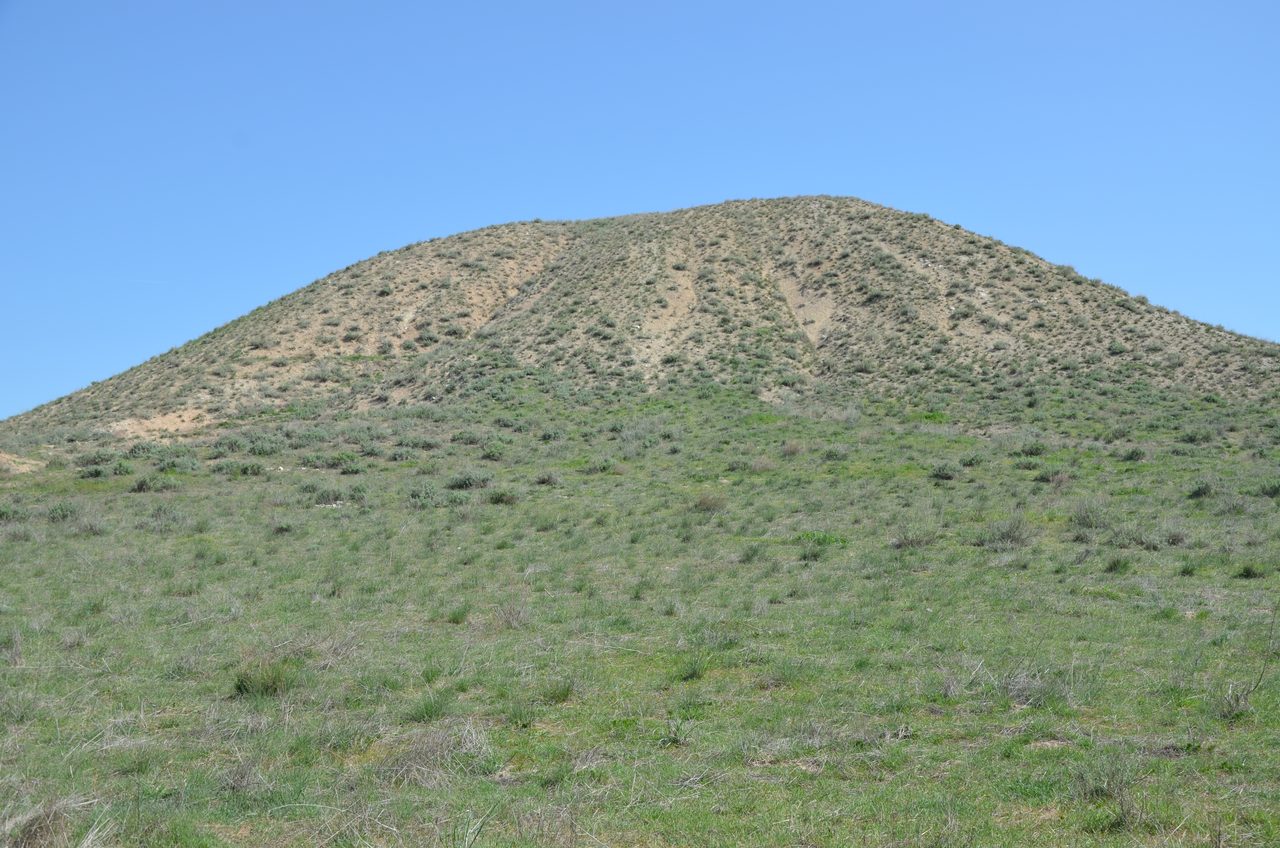 A large smooth dome shaped earth mound covered in dry scrub and grass rising against a clear blue sky, with a rough grassy slope in the foreground and nothing in the frame to give a sense of its size