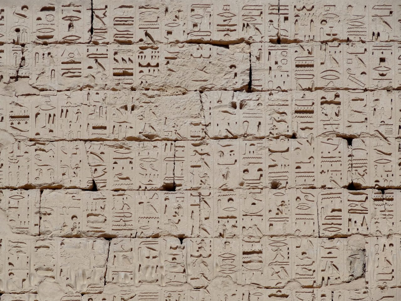 A wall of coursed pale limestone filled edge to edge with carved hieroglyphs arranged in tall vertical columns separated by incised dividing lines, with several patches where the carved surface has broken away