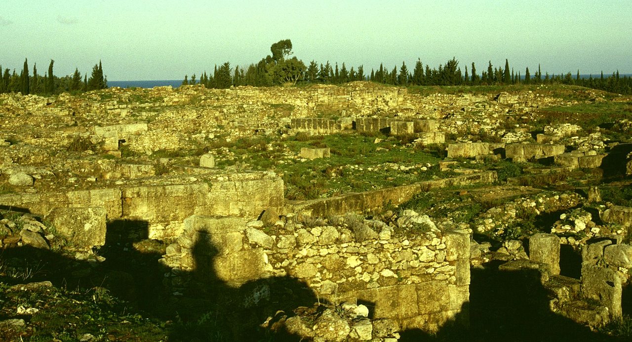 A wide field of low roofless stone walls forming a maze of small rooms and lanes in warm low light, with a line of cypress trees along the skyline, a narrow strip of dark blue sea showing beyond them, and the photographer's own shadow falling across the stones in the foreground