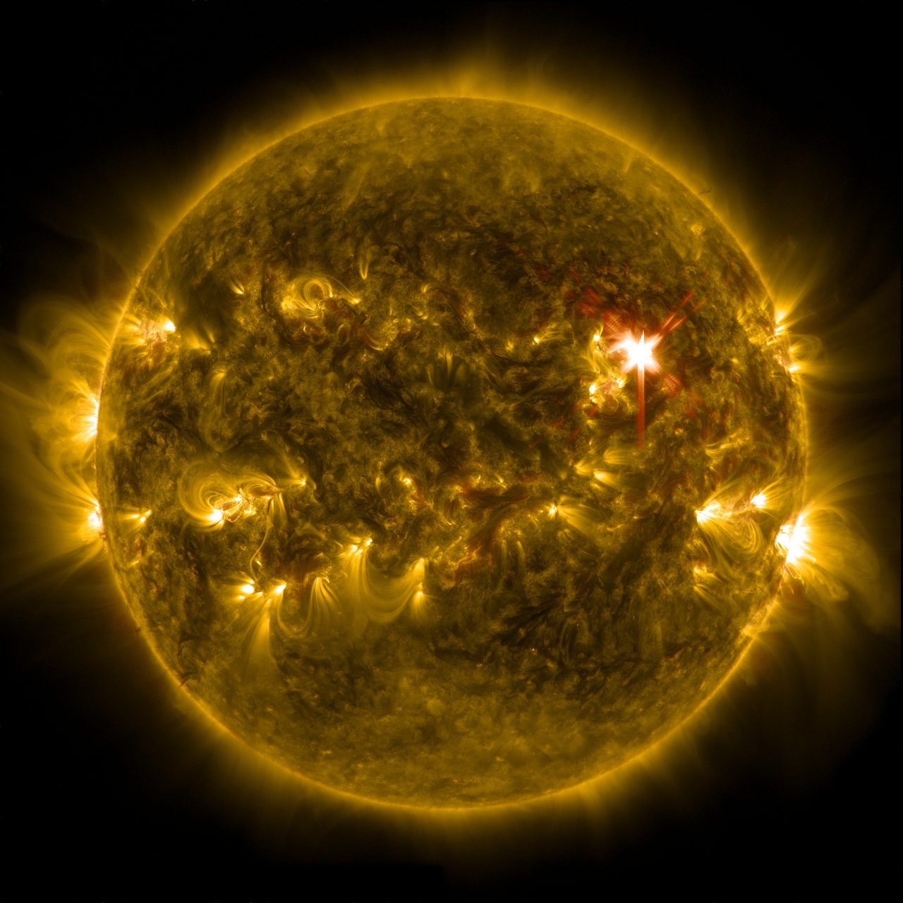 The full disc of the Sun rendered in gold on black, its face a mottled tangle of bright loops and dark filaments, arcs of plasma standing off the edge, and a small brilliant white point on the upper right of the disc throwing a cross of spikes across the frame.