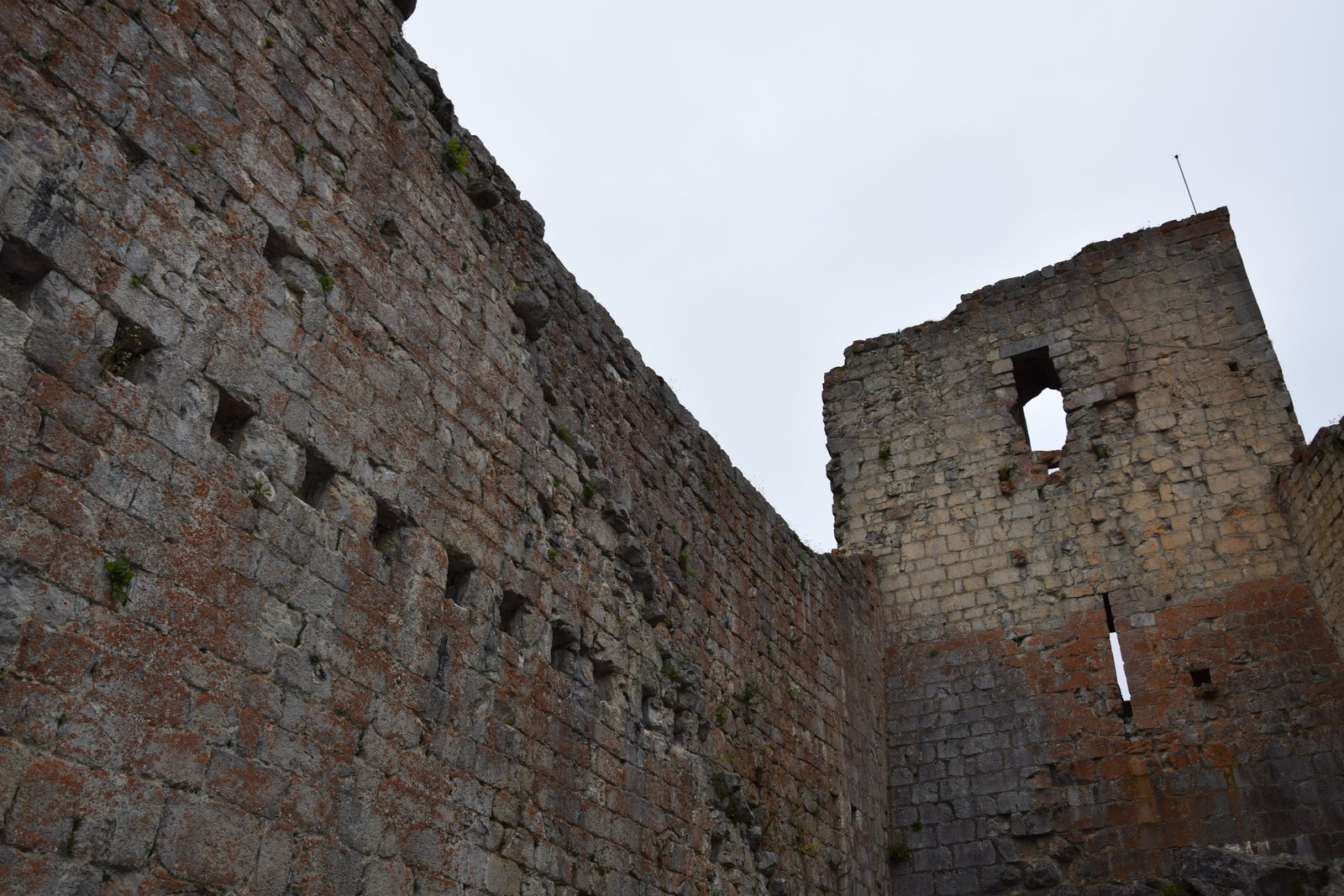 A low-angle view straight up a fortress curtain wall against a flat white sky. Coursed stone carries regular rows of square holes. Lichen, rust-orange staining and small plants grow from the joints. At the right, a roofless keep with a window opening and an arrow slit below it, and a metal spike on the summit.