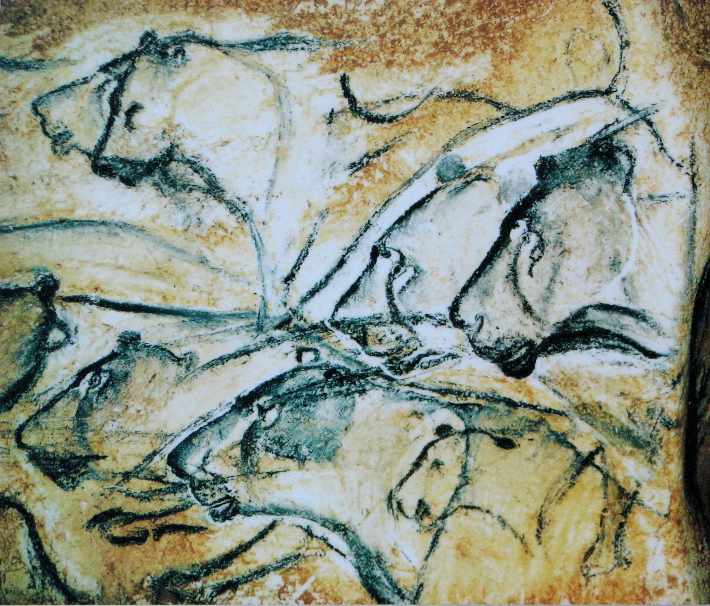 Black charcoal outline drawings of several cave lions in profile, their faces individualized and their bodies overlapping, on a warm ochre-toned rock surface