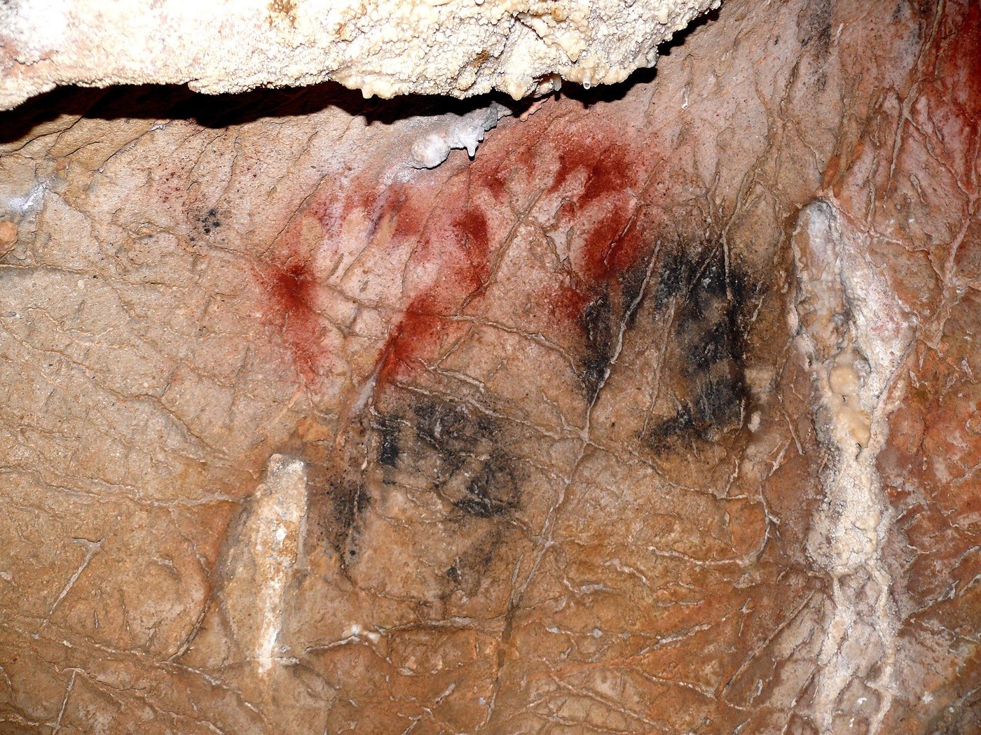 Negative hand stencils in red and black on a tan cave wall streaked with pale calcite, several of the hands appearing to have shortened or missing finger segments