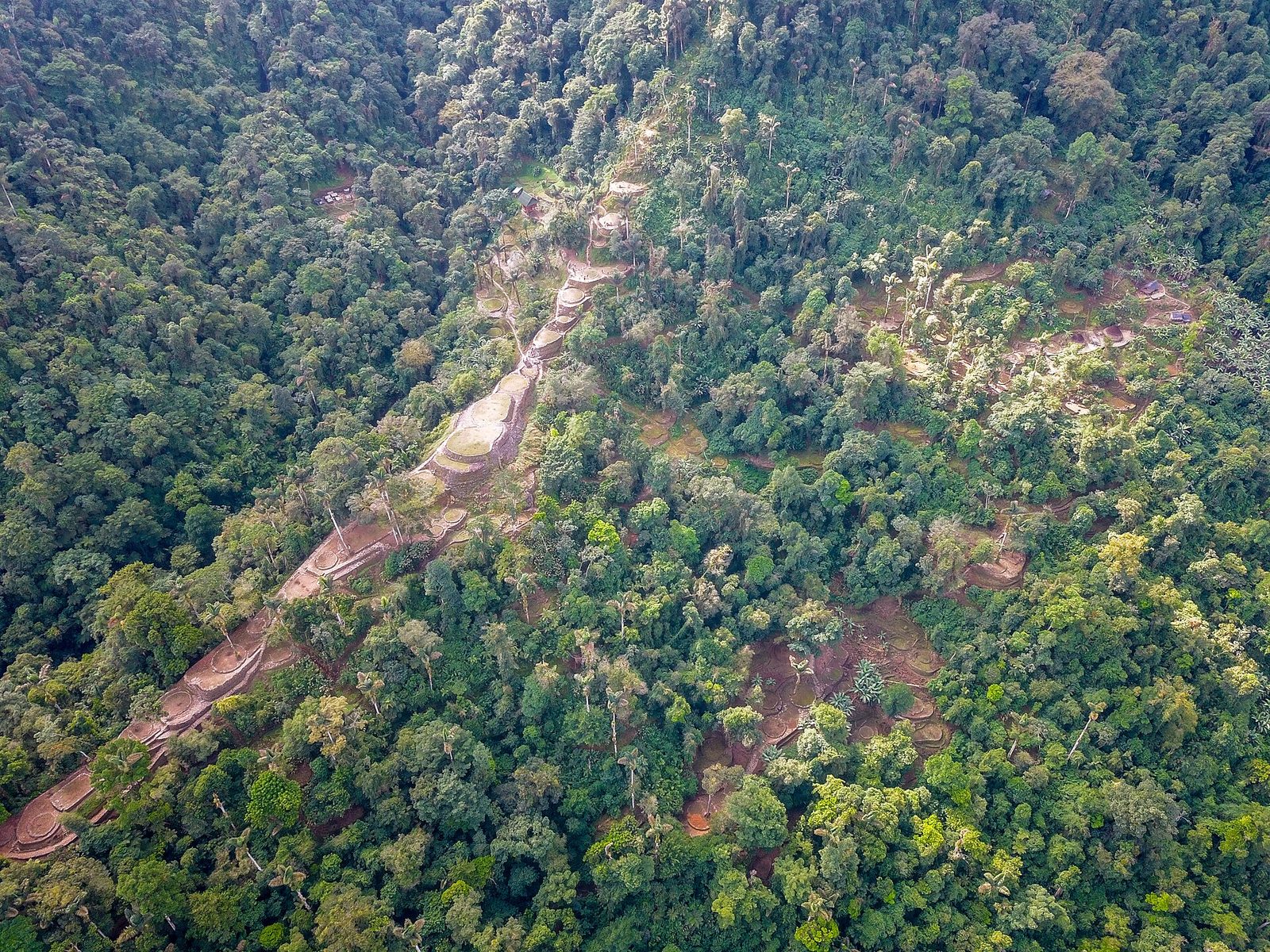 An aerial view looking down on a forested mountain ridge. A chain of circular and oval terraces, cleared to bare reddish earth and pale grass and edged with stone, steps down a spine from the upper centre to the lower left, with a second cluster of terraces on a spur to the right. Dense unbroken tree canopy fills the rest of the frame. A few small modern roofs, one of them red, sit among the trees at the top of the ridge.