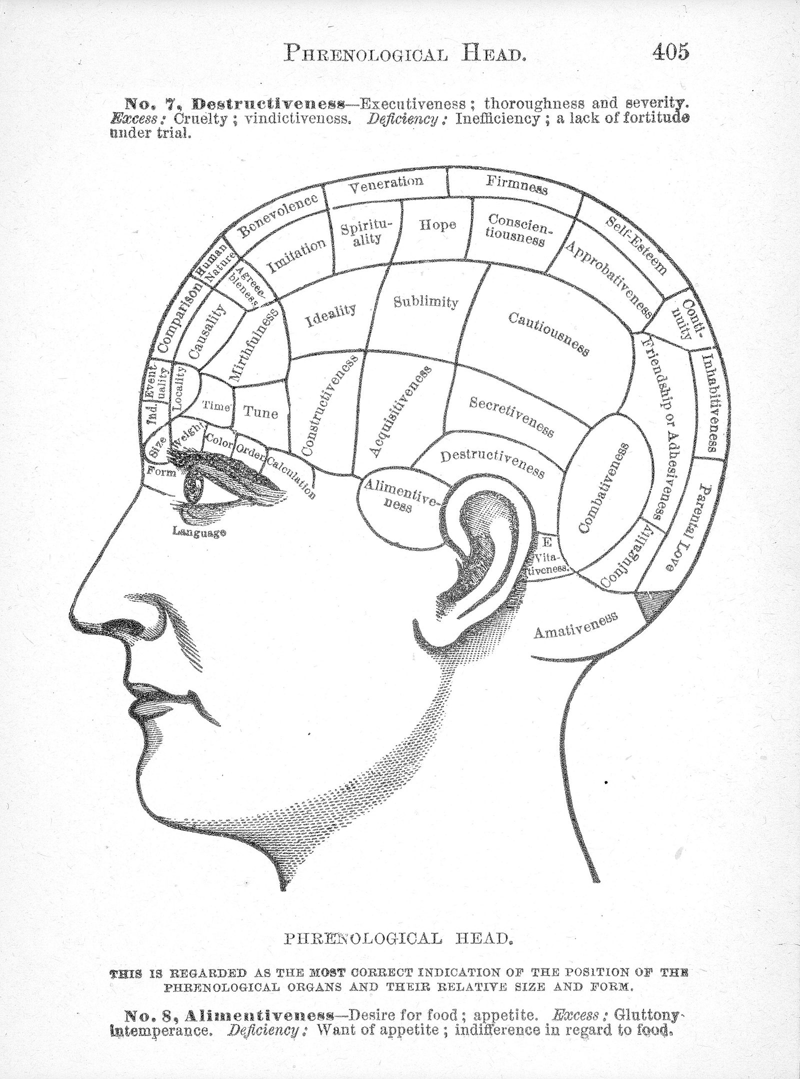 A printed page from a nineteenth-century book, headed PHRENOLOGICAL HEAD and numbered 405. A line engraving shows a bald human head in left profile, the skull divided by fine lines into several dozen labelled compartments, among them Benevolence, Veneration, Firmness, Self-Esteem, Cautiousness, Secretiveness, Destructiveness, Combativeness, Amativeness, Mirthfulness and Language. Explanatory paragraphs in small type run above and below the engraving.