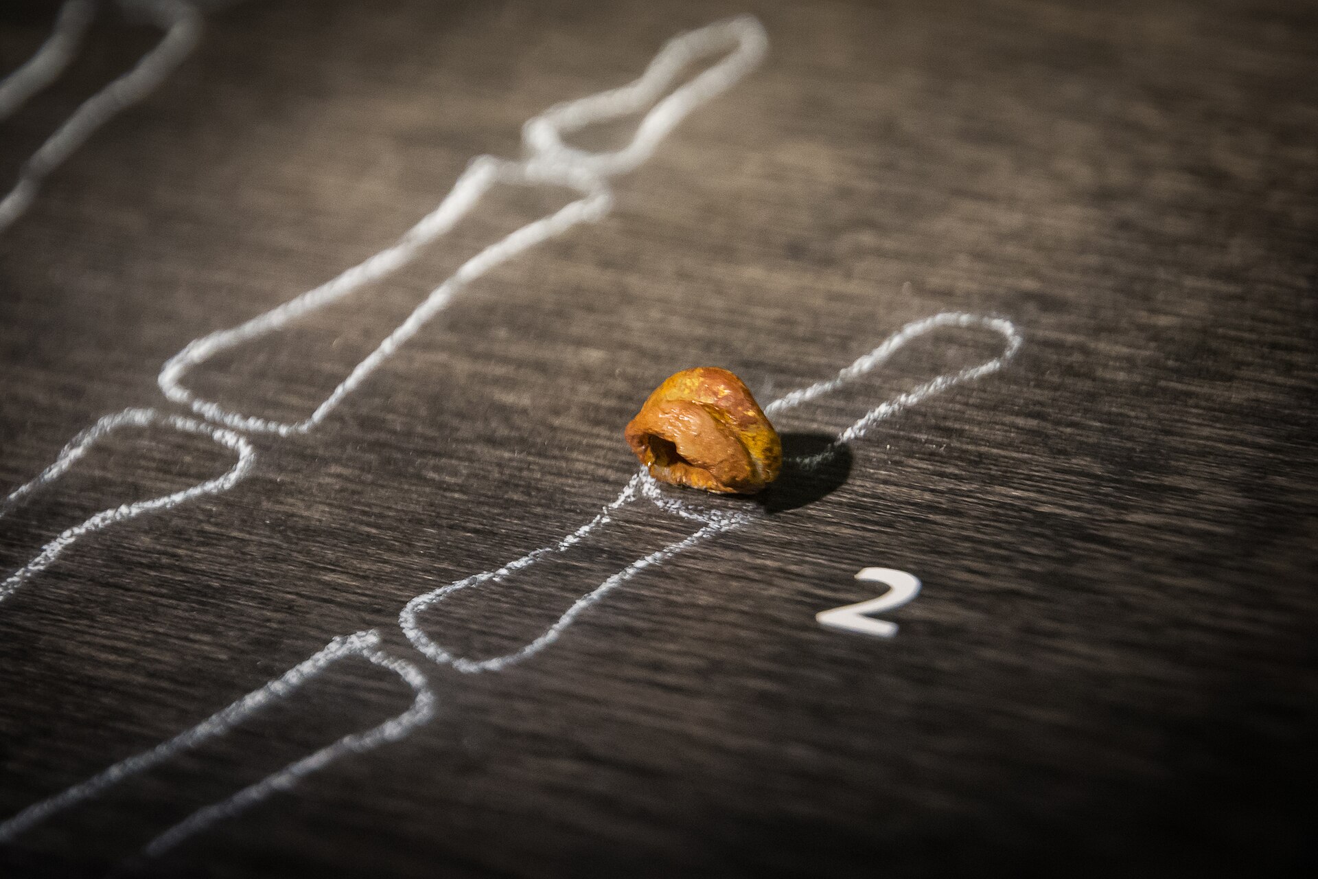 A museum display photograph. A tiny amber and orange-brown bone fragment, roughly conical and glossy with a hollow visible at its lower left, sits on a dark grey-brown wood-grain surface. Printed on that surface in white line are the outlines of finger bones drawn as simple contours, with a small white numeral 2 at the lower right. The fragment sits at the position where the tip bone of the second finger would be.