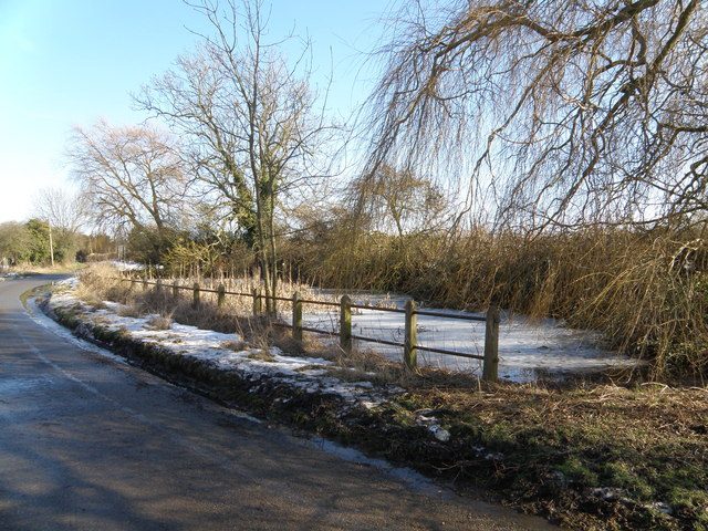 A photograph of the village pond at Morborne in Cambridgeshire, described by its photographer as very shallow and thick with bulrushes