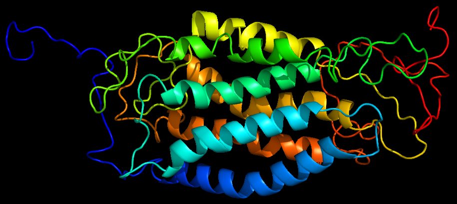 A three-dimensional ribbon-style rendering of the CCR5 protein structure, generated from PDB entry 1ND8