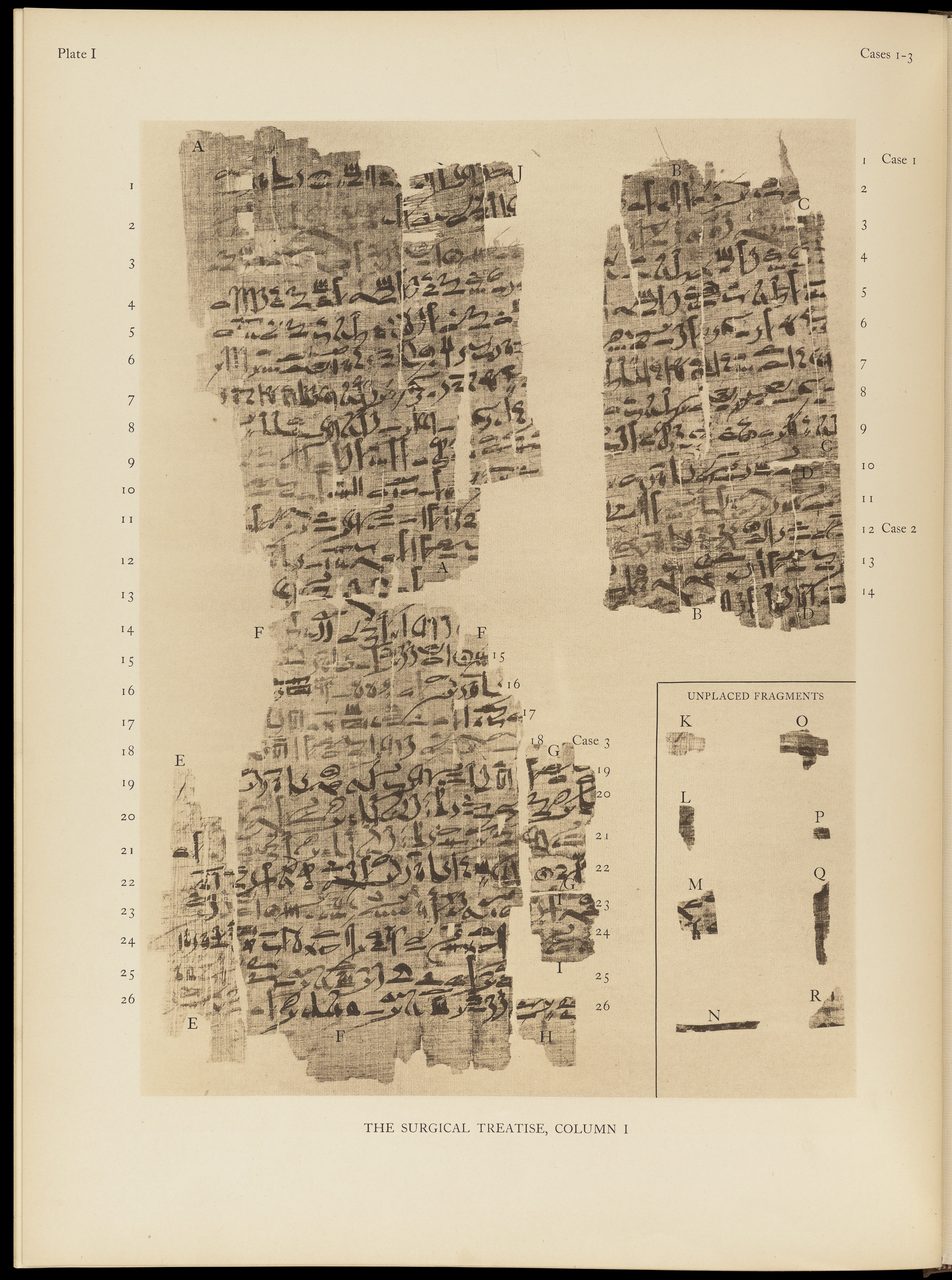 A printed scholarly plate reproducing photographed papyrus fragments in hieratic script, with typeset line numbers and fragment labels reading Plate I, Cases 1-3