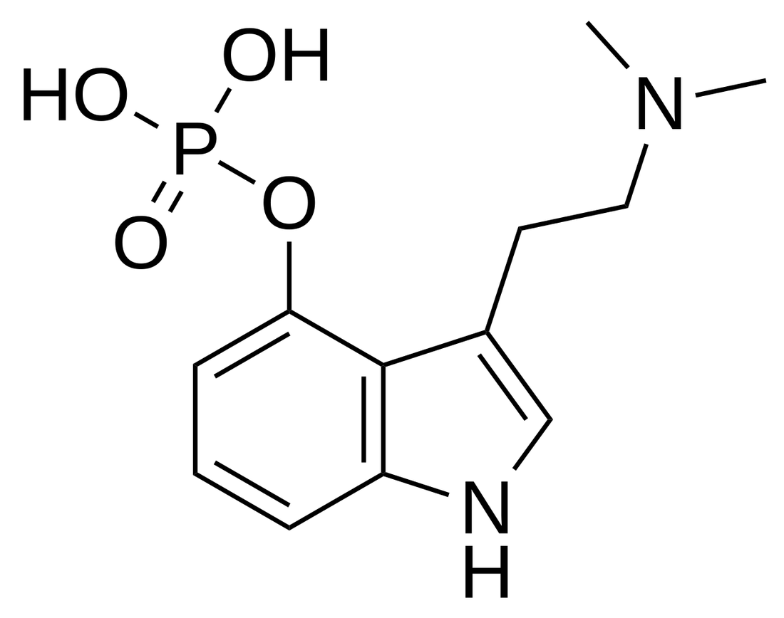 The chemical structure of the psilocybin molecule shown as a skeletal formula