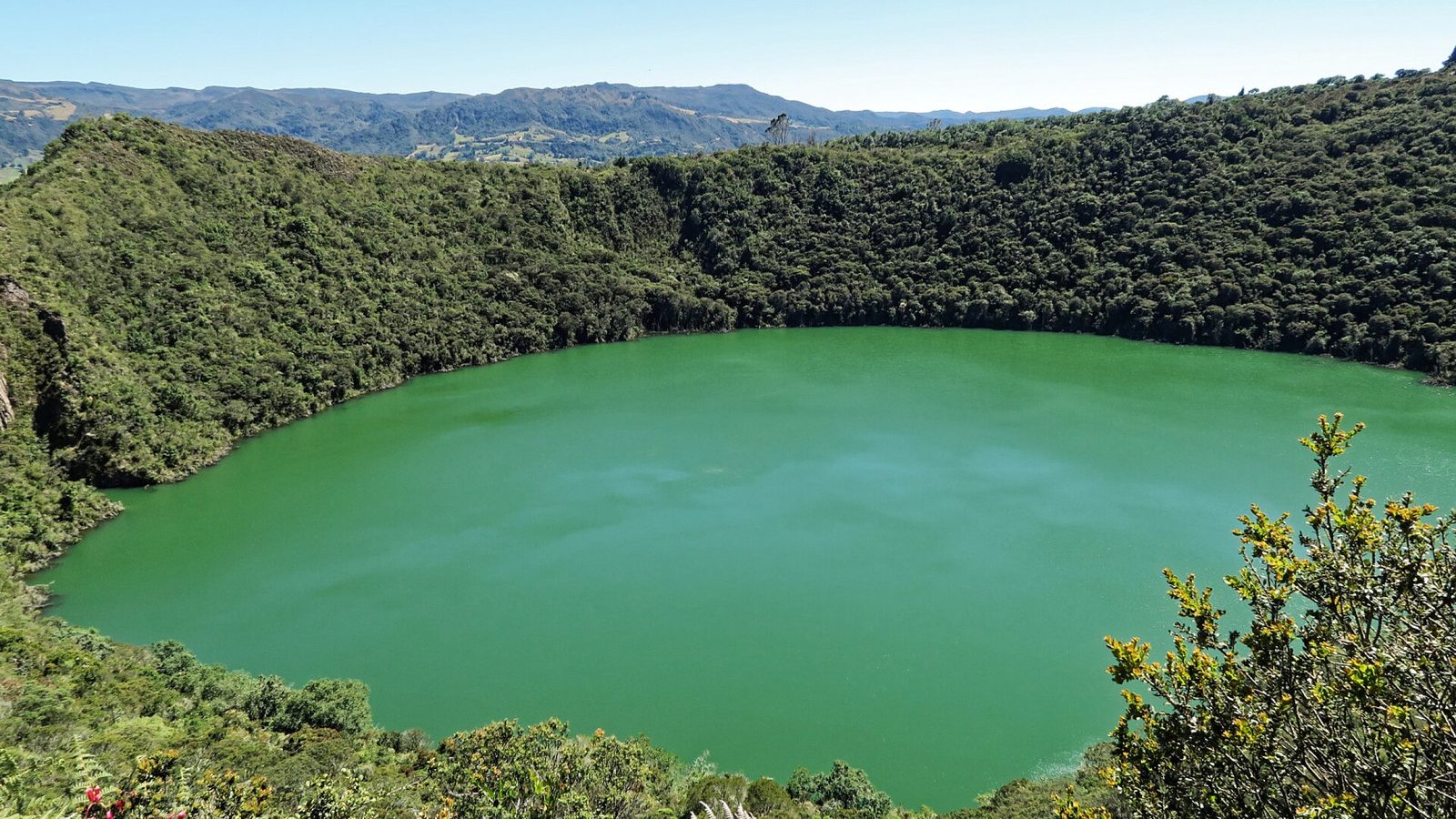 A near-circular lake of flat green water filling the floor of a steep bowl, its slopes covered in dense dark forest down to the waterline. Beyond the rim the land opens into a high cultivated plateau with mountain ranges receding in blue haze under a clear sky. Flowering scrub crosses the lower right of the frame.
