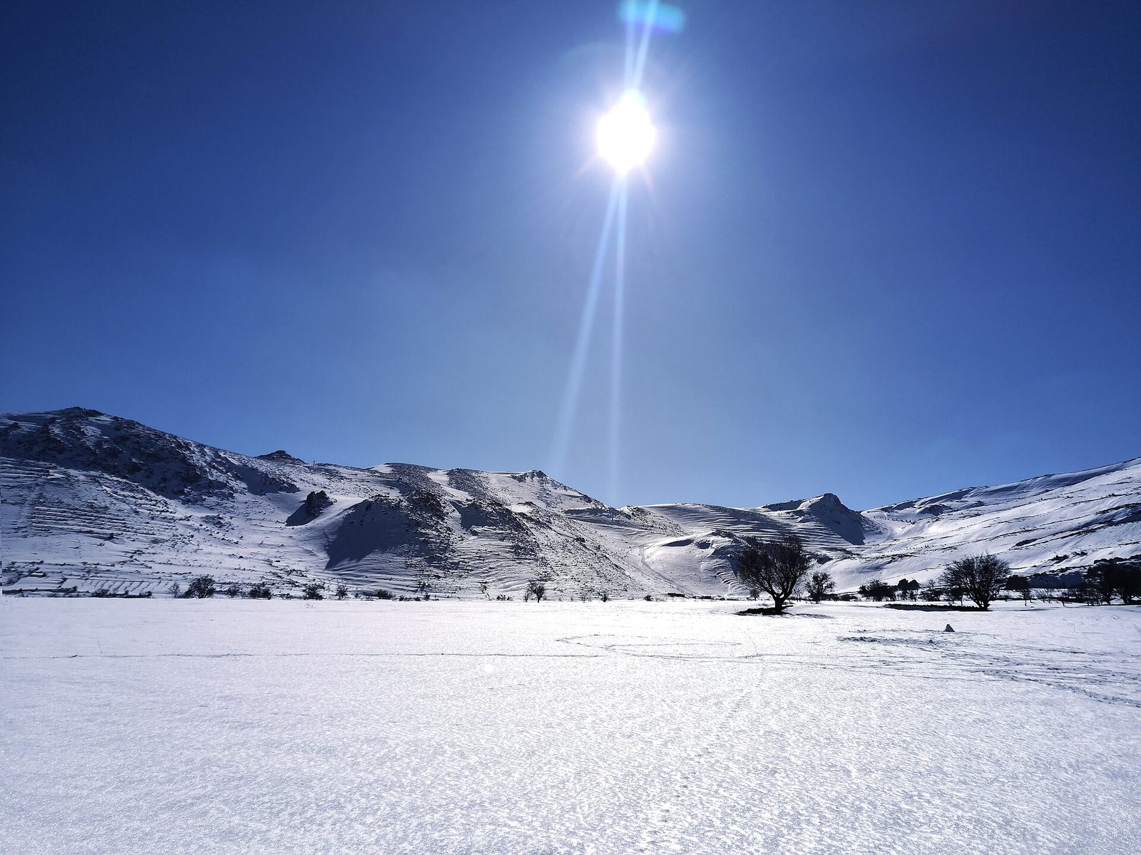 A broad white snowfield in the foreground with faint tracks crossing it, low snow-covered ridges behind, bare dark trees scattered along the middle distance, deep blue sky, and the sun high with a strong lens flare streaming down the frame.