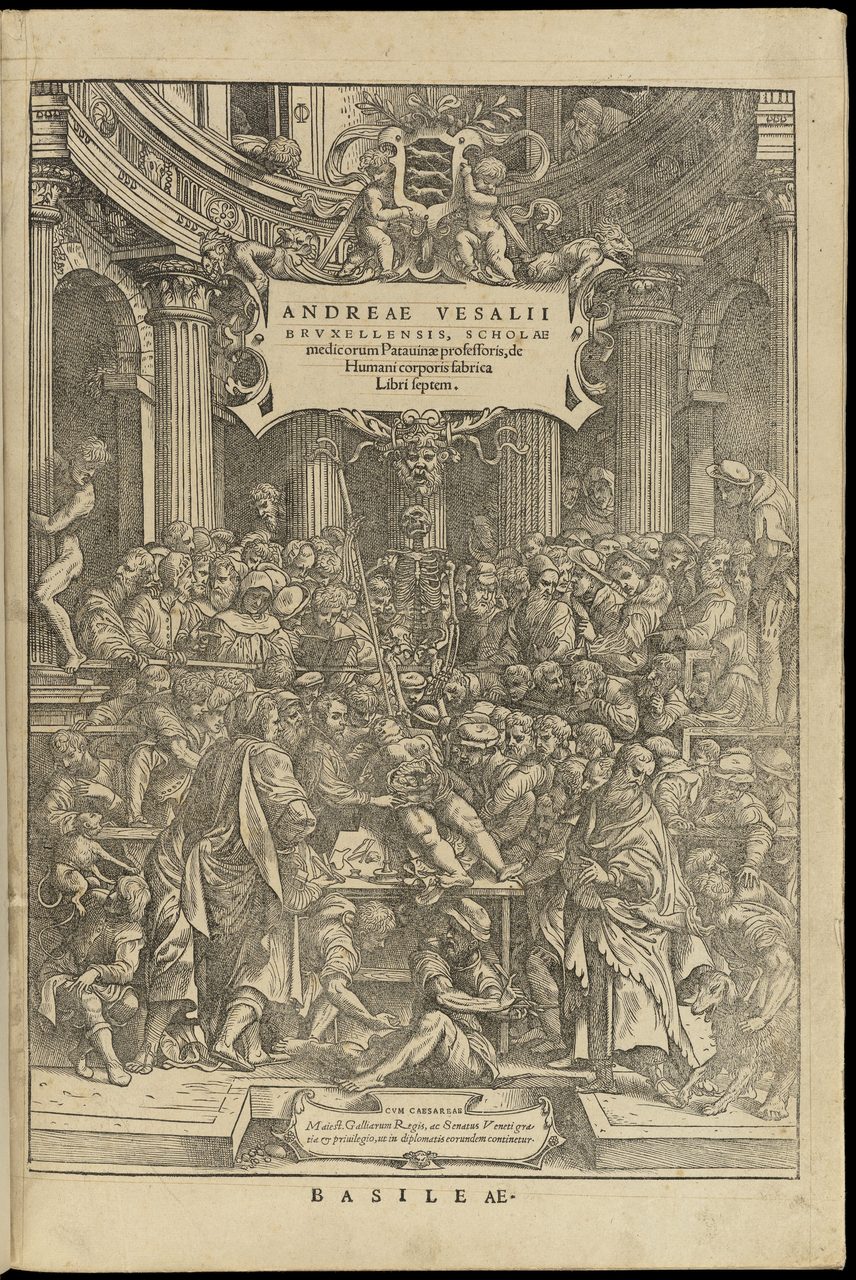 A sixteenth-century woodcut title page. Beneath a printed Latin title panel, a crowd fills a columned anatomical theatre around the opened body of a woman on a table, with an articulated skeleton standing over it holding a staff.
