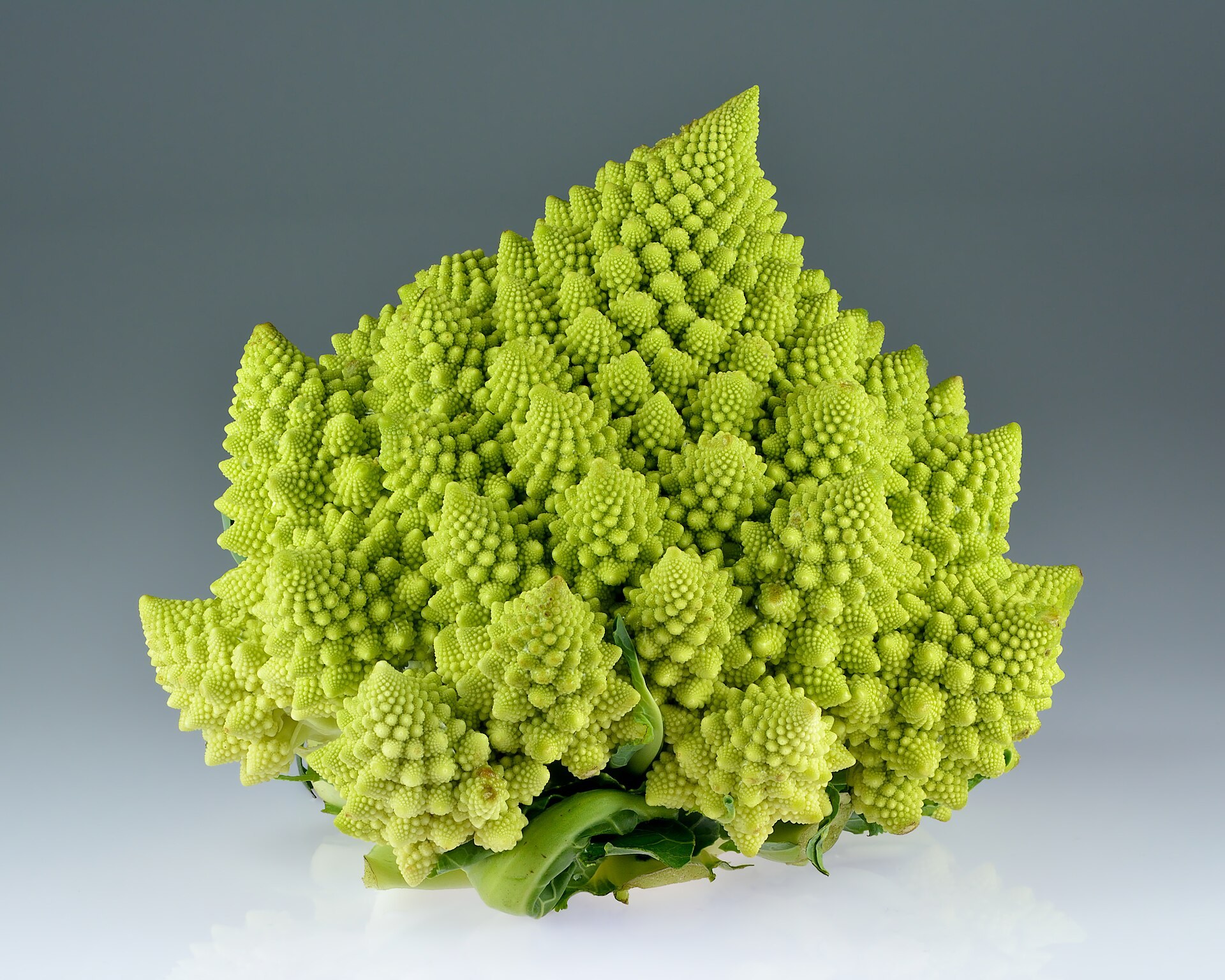 A close-up photograph of a whole Romanesco broccoli head: a chartreuse-green cone built from smaller cones spiralling around it, each of those built from smaller cones still
