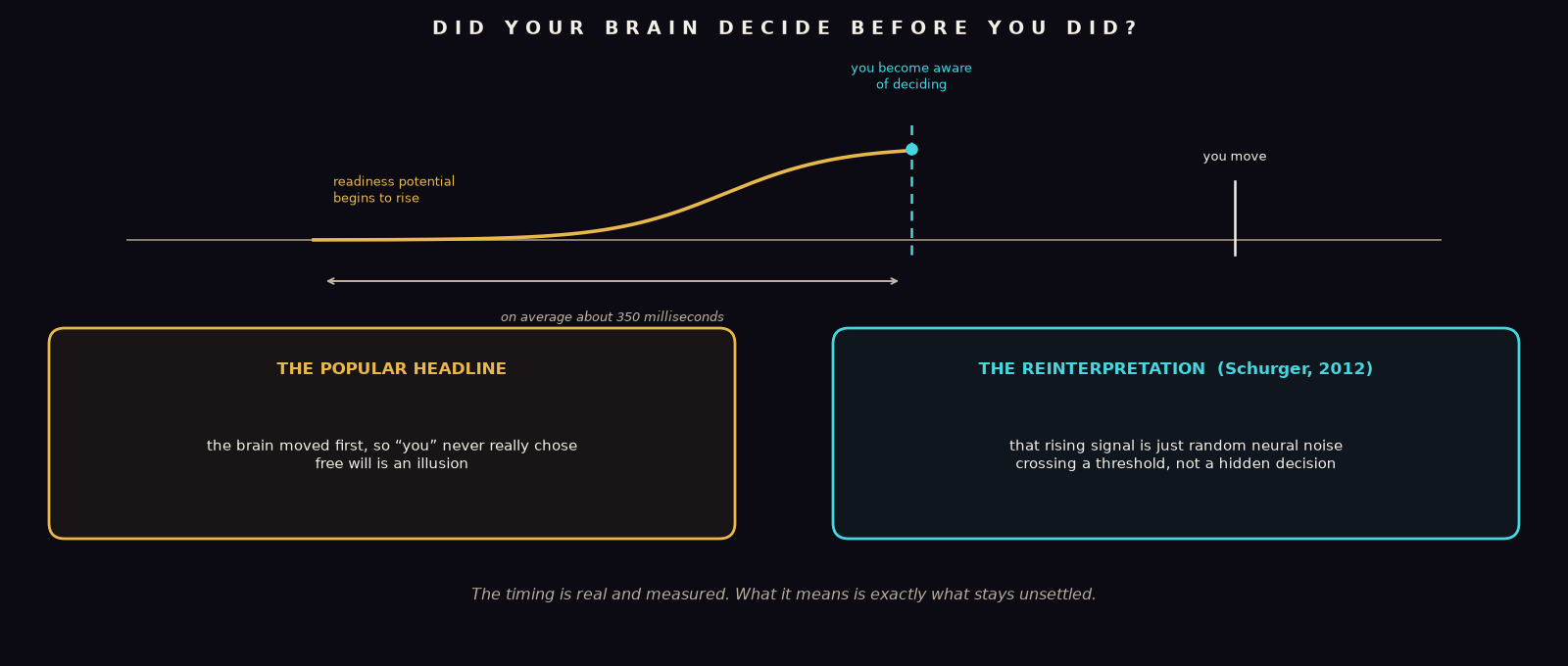 An original timeline diagram of the Libet experiment: a rising 'readiness potential' brain signal begins, then about 350 milliseconds later the person becomes consciously aware of deciding to move, and then the movement happens; below, two rival readings are shown, the popular one that the brain decided first so there is no free will, and the counter-reading that the signal is just neural noise crossing a threshold, not a hidden decision