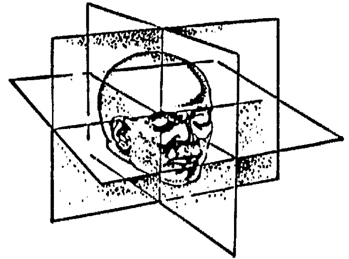 A rough monochrome line drawing: a human face and skull rendered in dotted shading, intersected by three large flat quadrilaterals in perspective, each set perpendicular to the other two