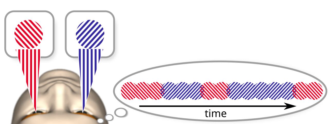 A diagram in which a red striped disc and a blue striped disc are shown separately to each eye of a stylised face, with a thought bubble at right containing a row of alternating red and blue discs along an arrow labelled time