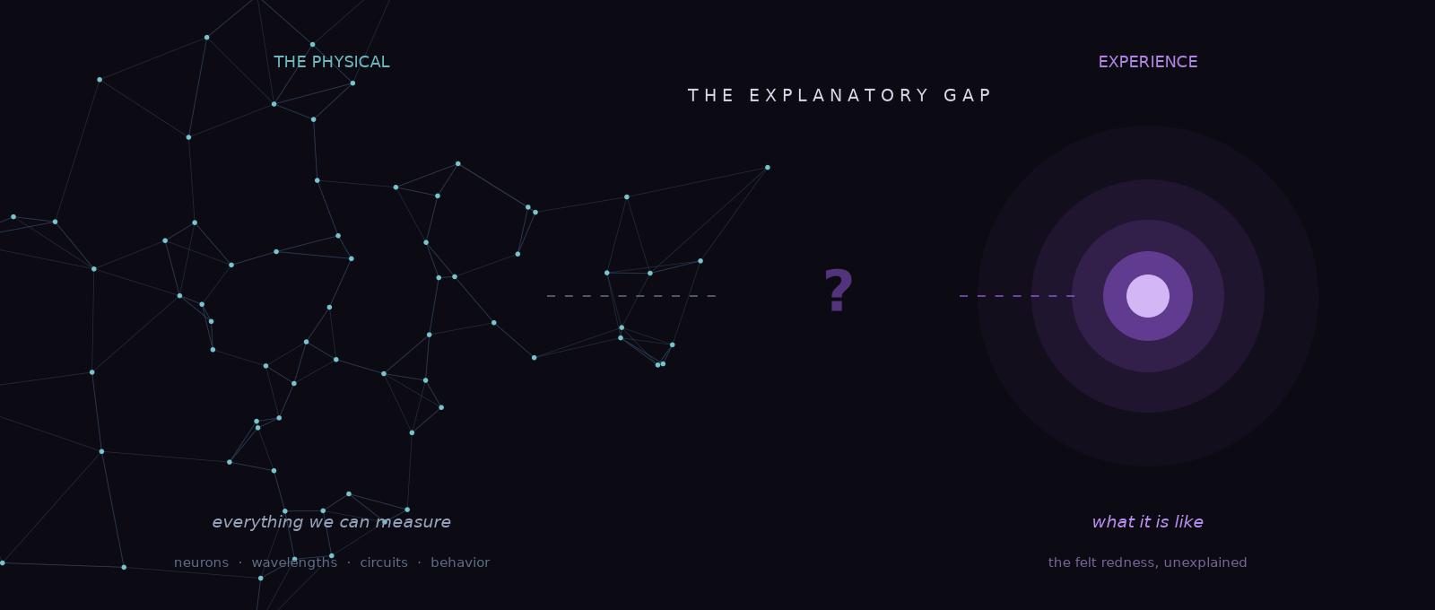 An original diagram of the explanatory gap: on the left a connected constellation of nodes labeled The Physical, everything we can measure; on the right a single glowing violet node labeled Experience, what it is like; between them a dashed line reaches across and breaks in the middle at a question mark