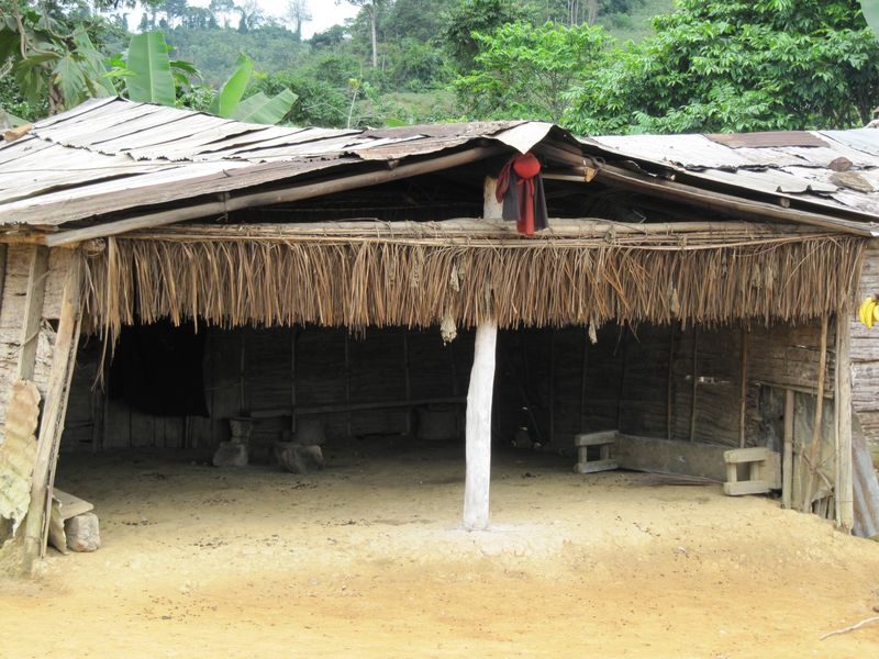 A colour photograph of a Bwiti house at Mimongo in Gabon: an open-fronted timber building with a low sheet roof, a fringe of dried palm frond below the eaves, a single whitewashed post on a bare earth floor, and forest behind