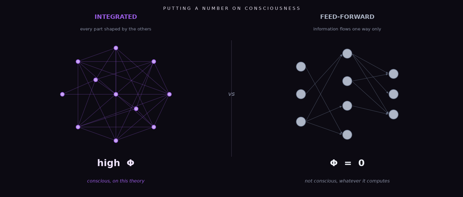 An original diagram contrasting two networks: on the left a densely interconnected recurrent network labeled high Phi, integrated, which IIT counts as conscious; on the right a layered one-directional feed-forward network labeled Phi equals zero, which IIT counts as not conscious