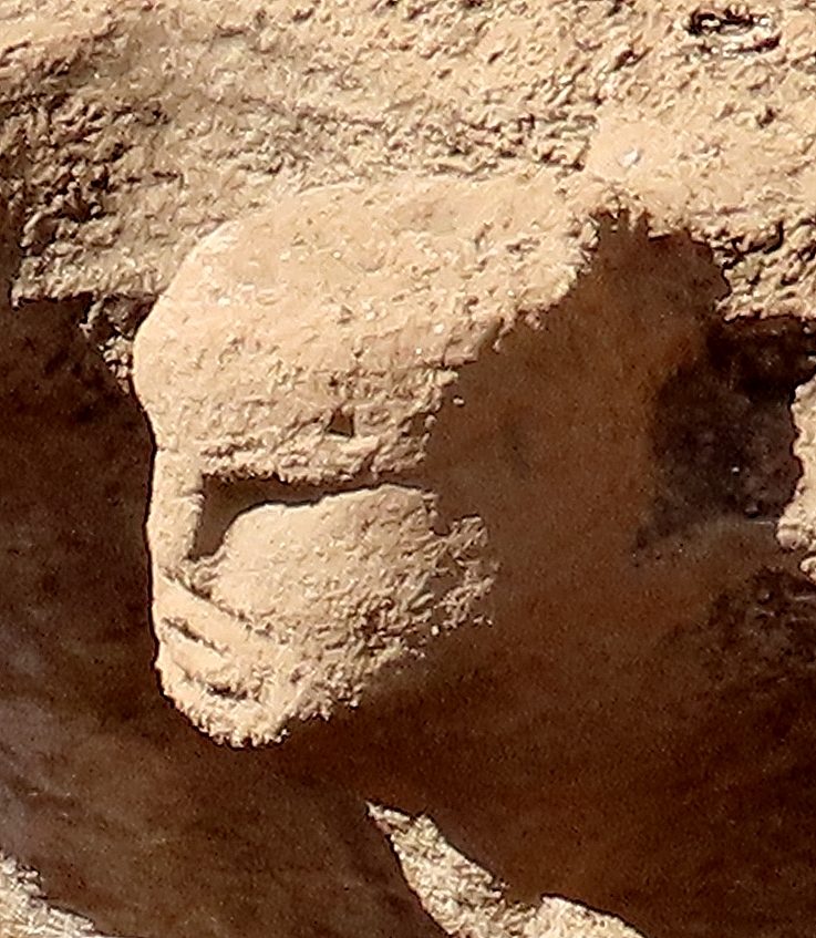 A close-up of the carved human head emerging from the bedrock wall of Structure AB at Karahan Tepe