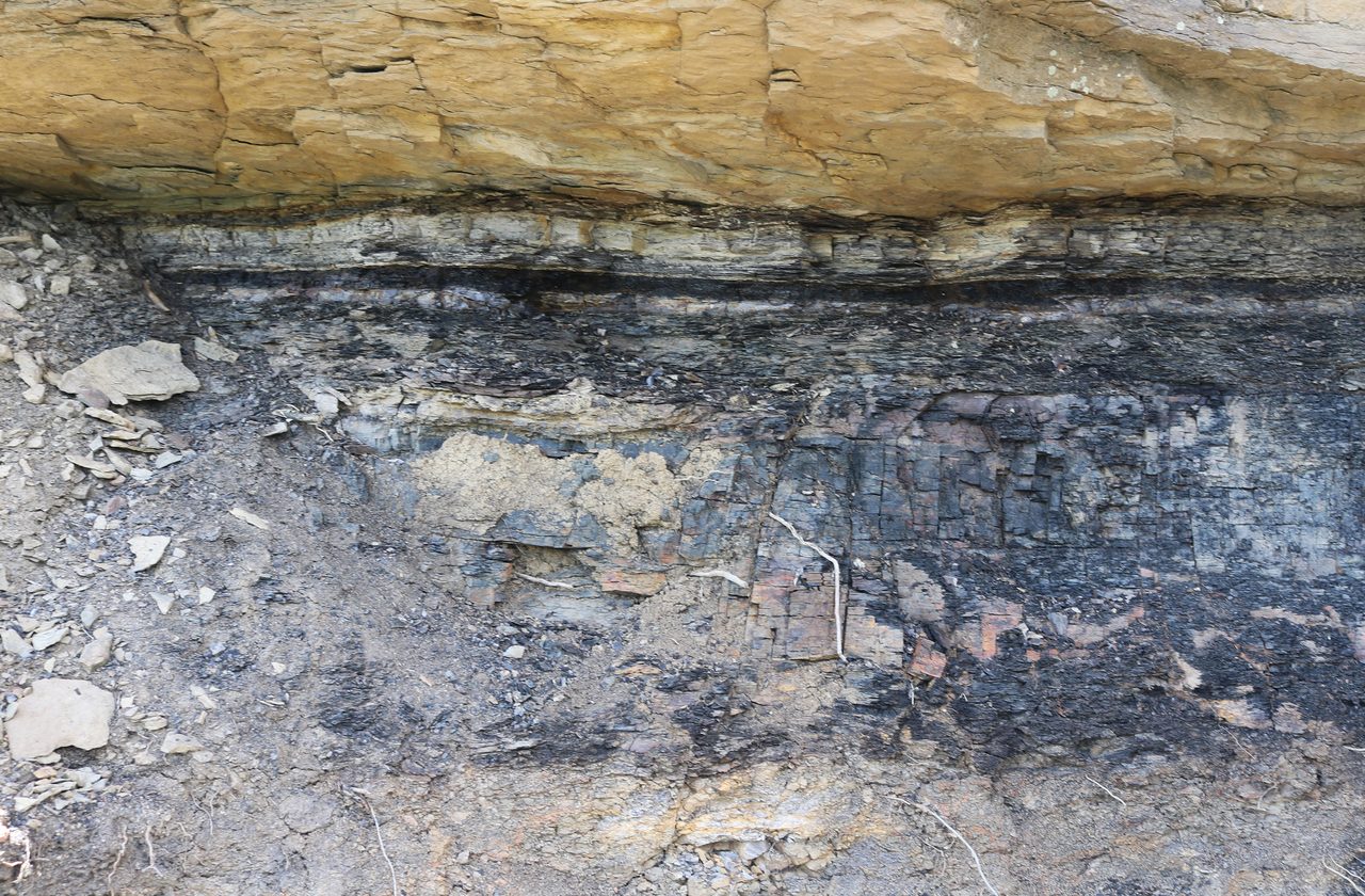 The K-Pg boundary clay layer exposed in rock strata at Trinidad Lake State Park, Colorado