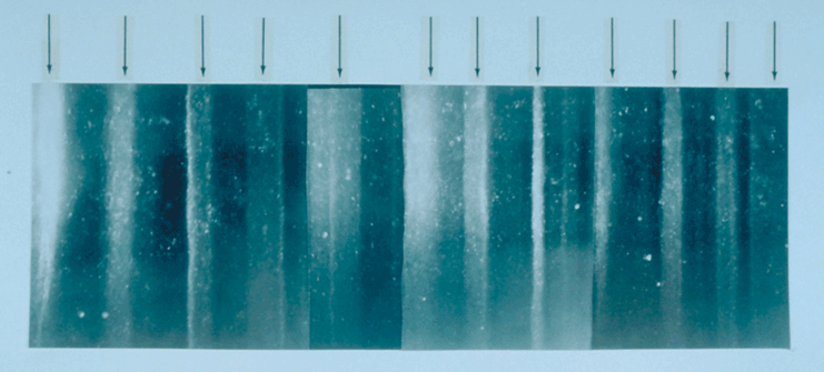 A backlit 19 centimetre section of the GISP2 Greenland ice core showing alternating dark teal and pale vertical bands, with twelve arrows added above pointing down at the pale layers