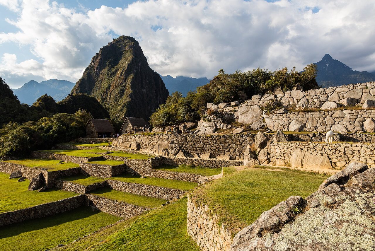 A ground-level view inside the urban sector at Machu Picchu, with grass plaza terraces, thatched-roof buildings, and Huayna Picchu peak behind