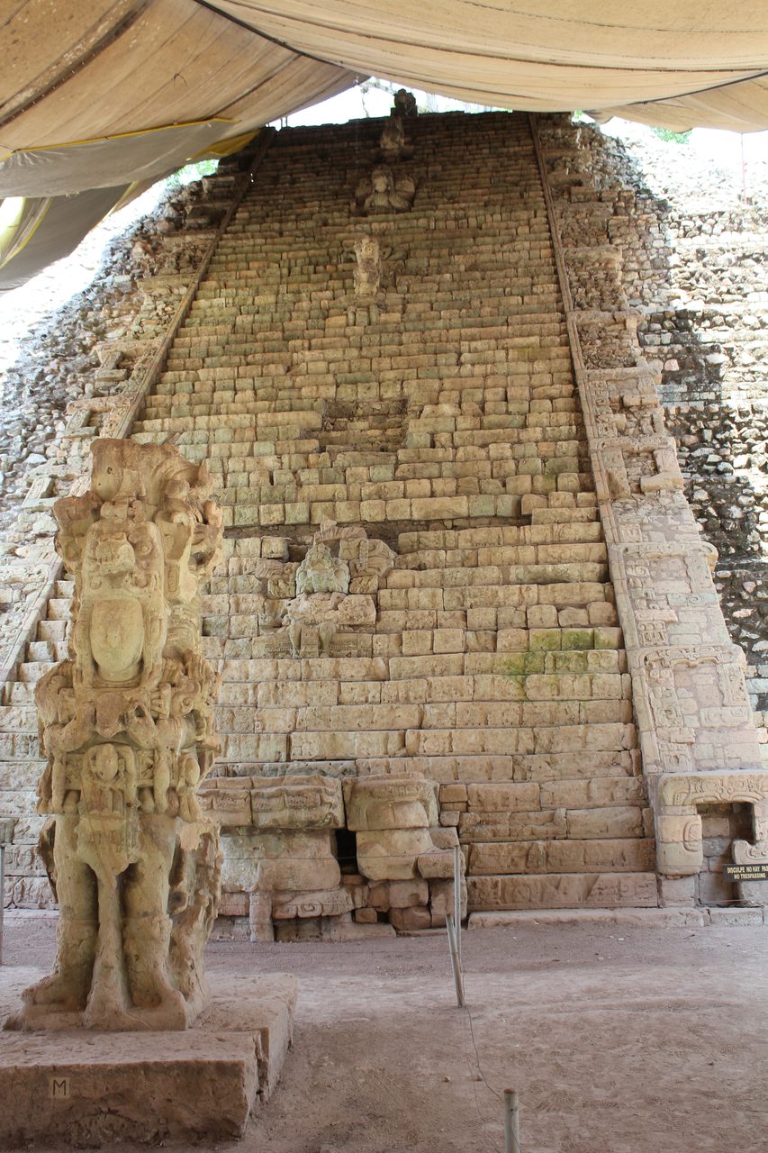 The Hieroglyphic Stairway at Copan seen from below, a steep flight of carved stone blocks with seated figures set at intervals up the centre, a heavy pale canvas awning stretched across the top of the frame, a carved stela standing in the foreground and a small modern sign at the right