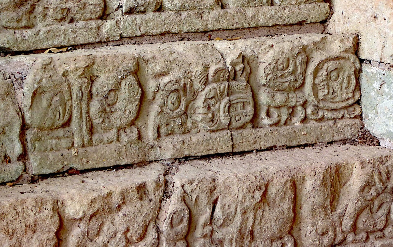A close view of weathered pale limestone steps at an archaeological site, lit by daylight. The riser running across the middle of the frame is faced with a row of carved relief blocks, each a rounded, self-contained composition of curled and knotted forms, some of them recognisably faces in profile. A second row of similar carving runs along the step below, more eroded. Loose fallen leaves lie in the joints.