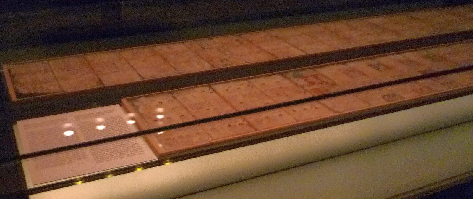 A dim photograph looking along two long, low glass display cases in a darkened room. Each case holds a continuous strip of pale pinkish bark paper divided by ruled lines into a long row of panels, with faint reddish and dark markings inside them. A printed white label panel sits at the near end of the lower case. Small spotlights reflect off the glass. The markings are not legible at this distance.