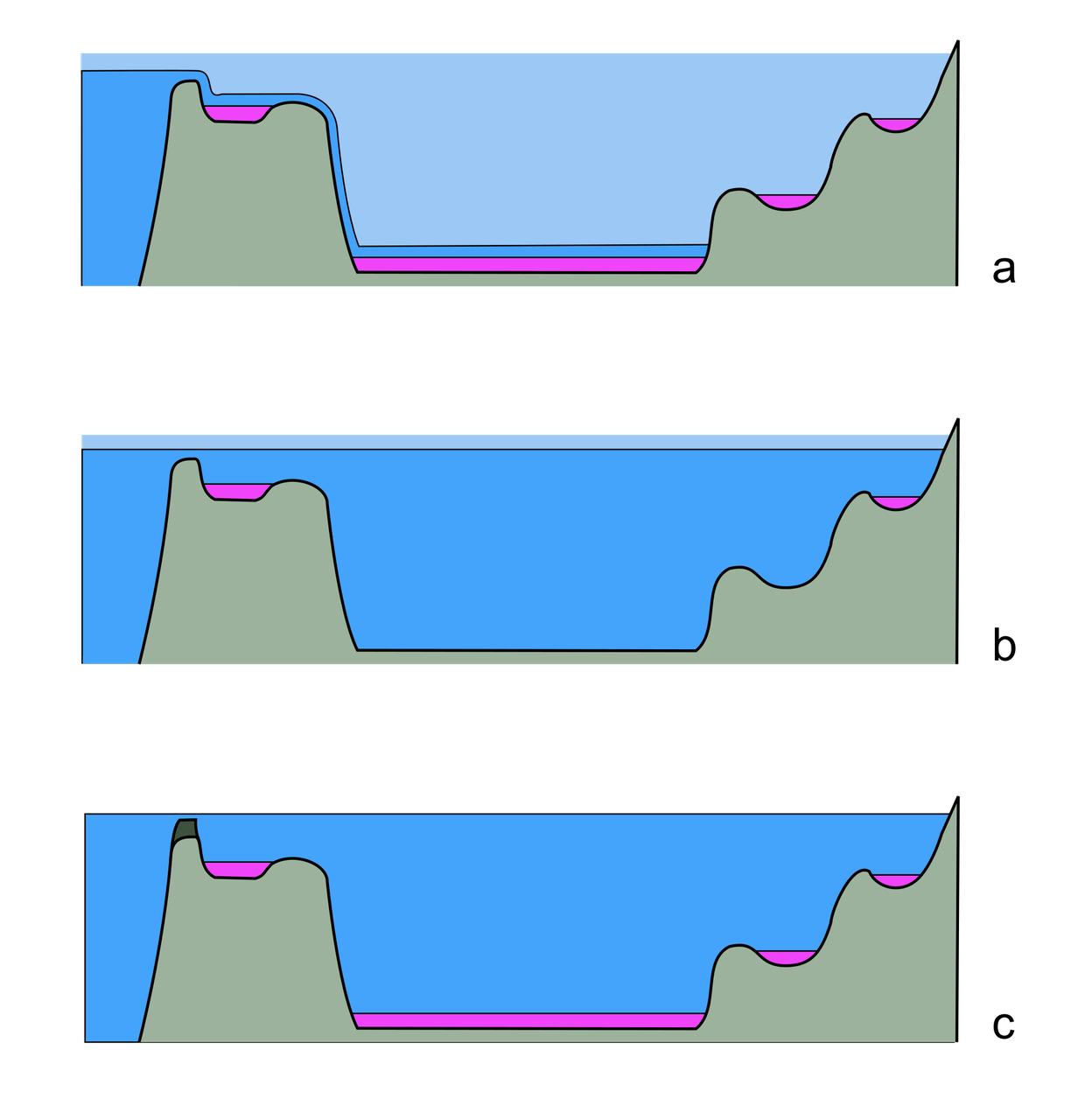 Three stacked schematic cross-sections of the same basin, labelled a, b and c, drawn in flat colour with grey-green rock, blue water and magenta layers lying on the shelves and on the deep floor