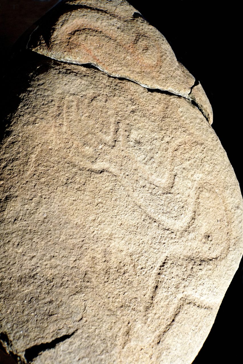 A low-relief petroglyph of the birdman figure Tangata Manu at Orongo
