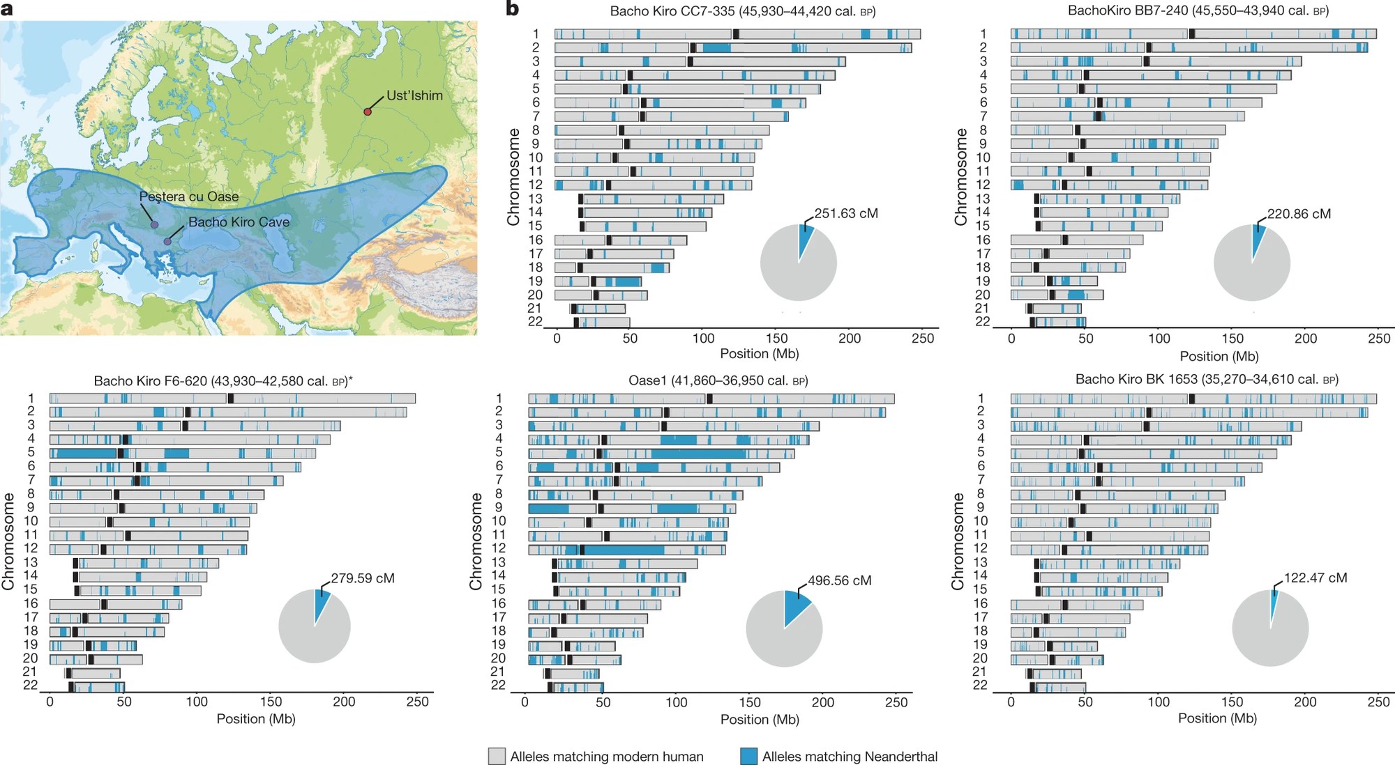 A scientific figure: a map of Europe with the Neanderthal range shaded blue and three fossil sites marked, beside five panels each showing a person's 22 chromosomes as grey bars with Neanderthal-inherited DNA segments marked in blue, and a pie chart of each individual's total Neanderthal ancestry; the Oase1 individual shows much longer blue blocks and the largest pie slice