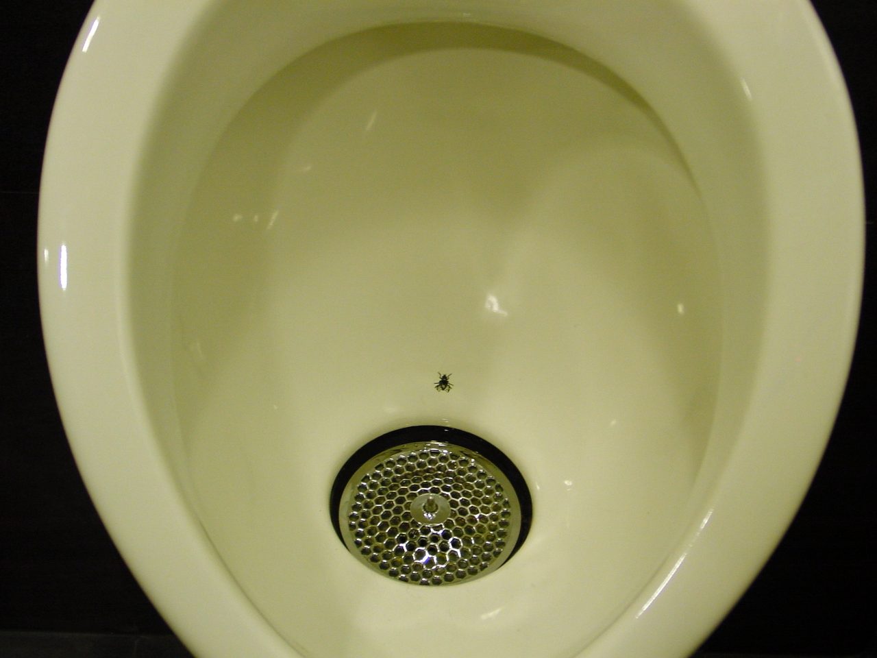 A photograph looking straight into the bowl of a urinal, its cream coloured glazed porcelain filling almost the whole frame against a dark background, with a small dark fly figure on the sloping back of the bowl directly above a round chrome drain cover, close to the centre line of the frame, perforated in a honeycomb pattern.