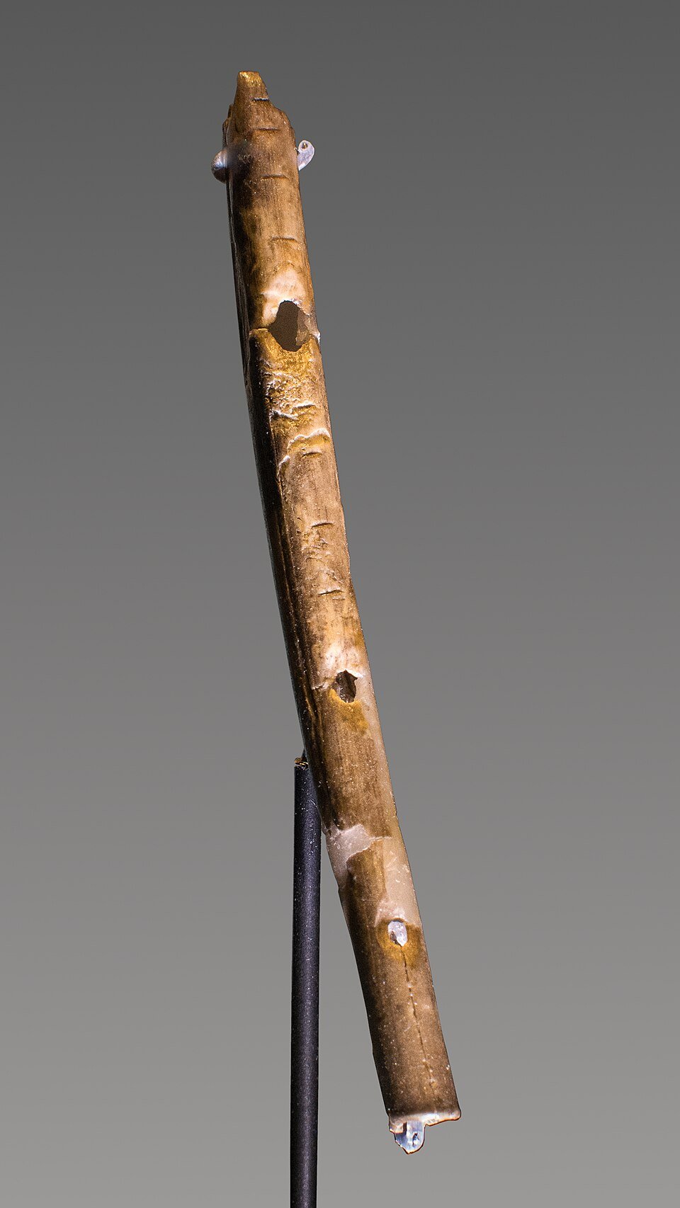 A long, thin, dark honey-brown bone flute mounted diagonally on a black metal stand against a grey background, with a drilled finger hole and fine incised marks visible along its surface