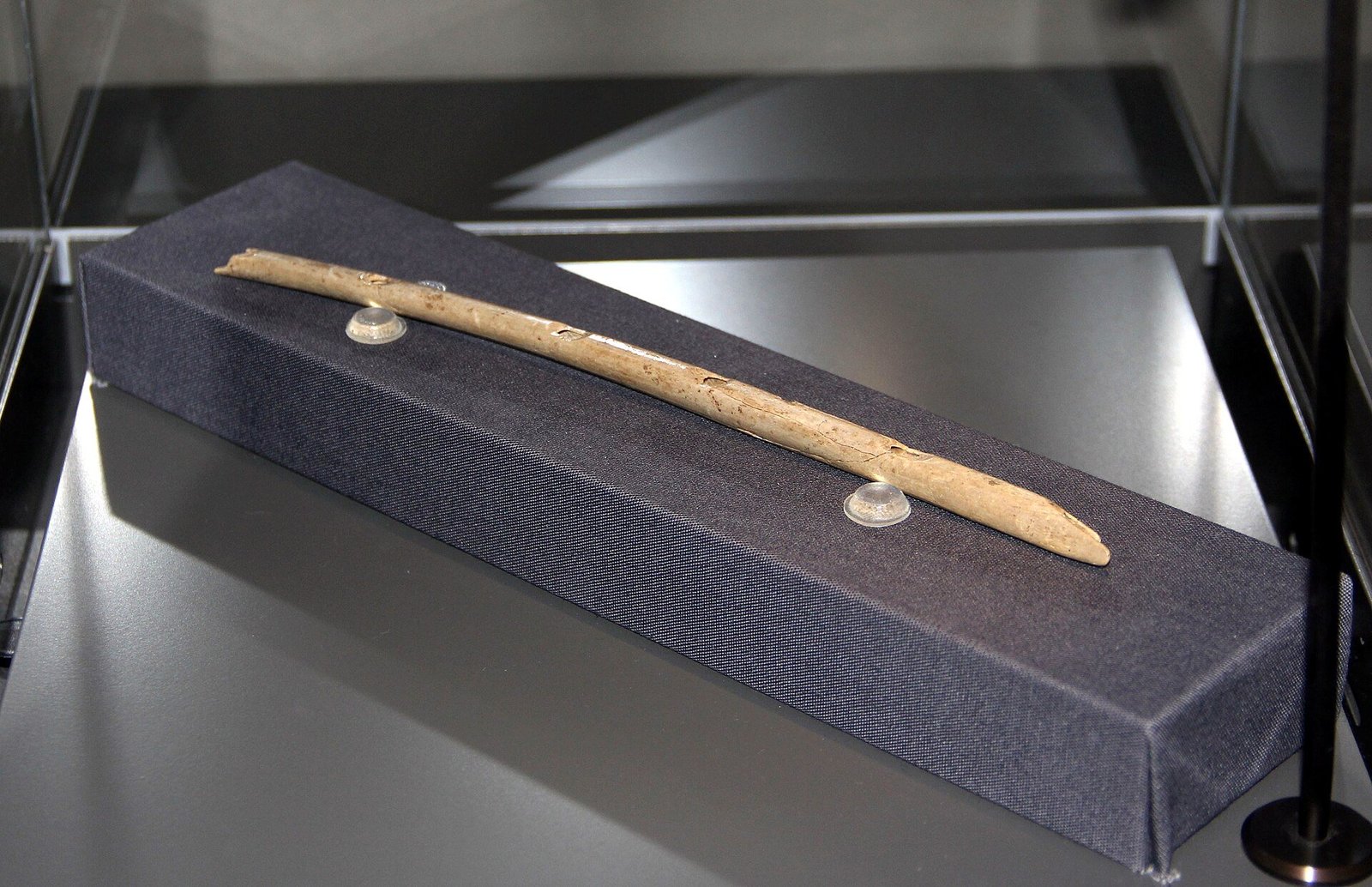 A long, slender pale bone flute, cracked and reassembled in places, resting on a dark grey fabric mount inside a glass museum display case on a black surface