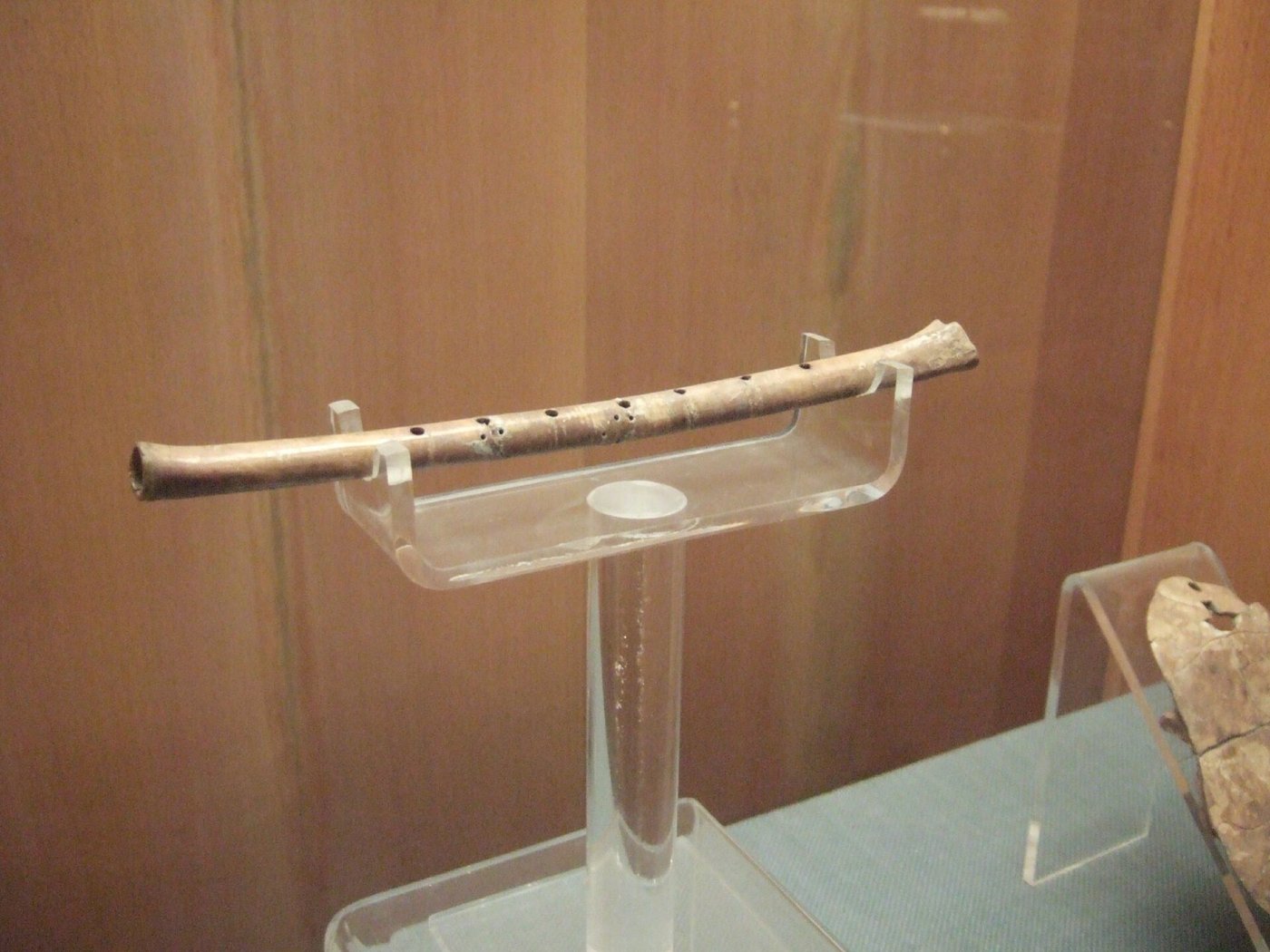 A slender tan bone flute mounted horizontally on a clear acrylic stand in a museum case, with a row of dark drilled finger holes running along its length, a second bone fragment visible to the lower right