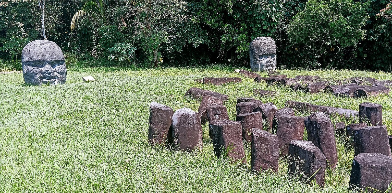 Two colossal stone heads stand on mown grass, one at the left and one at the centre-right, both heavily eroded, the left one's face worn and pitted and the right one damaged across the lower face. In the foreground dozens of low squared basalt column stumps stand upright in rows in the grass. Dense green tropical vegetation fills the background.
