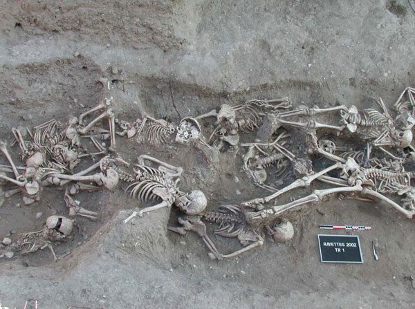 An archaeological excavation photograph looking down into a shallow trench of pale soil packed with human skeletons lying close together at different angles, with a red and white striped scale bar and a small white site board at the lower right