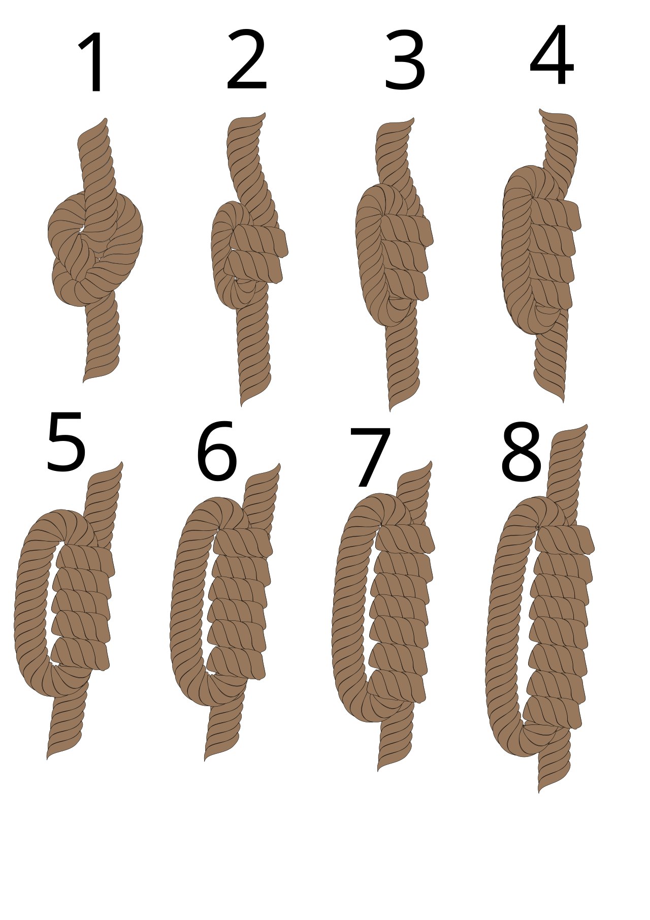A diagram on a white background of eight brown cords labelled 1 through 8: the first shows a single figure-eight knot, and cords 2 through 8 show long knots with a matching number of turns