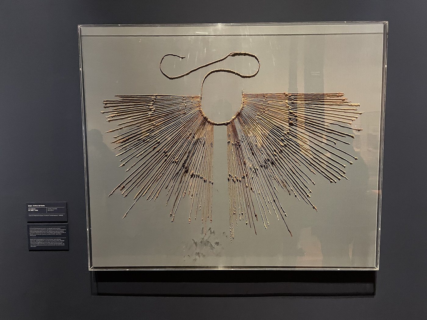 A quipu mounted in a glass case against a dark wall, its pendant cords fanning out radially and downward from a looped main cord like the rays of a fan