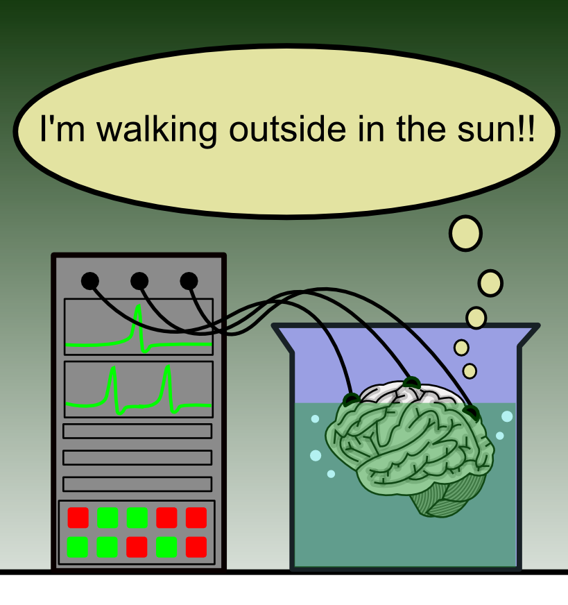 A cartoon diagram of the brain-in-a-vat scenario: a brain in a tank of liquid wired to an equipment rack, with a thought balloon reading I'm walking outside in the sun