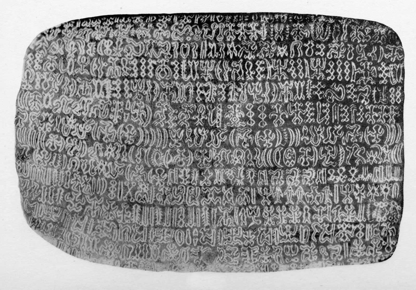 A rectangular wooden tablet with rounded corners photographed flat against a pale ground, its whole face covered edge to edge in about twenty horizontal lines of small incised signs. The signs are pale against darker wood and read as tightly packed rows of little figures, hooks and crescents. The image is a black and white halftone with visible printing grain.