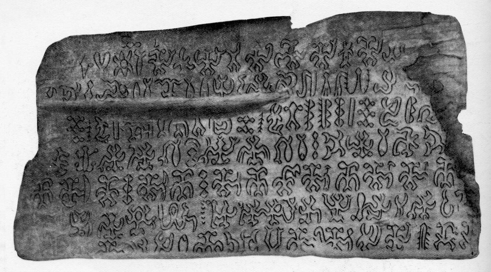 A long, roughly rectangular wooden tablet photographed flat against a pale ground, broken and irregular along its upper right edge. Six or seven horizontal lines of incised signs run the length of the face. Many of the signs are strongly outlined in dark ink against the greyer wood, so they stand out far more sharply than the surrounding surface. The image is a black and white halftone.