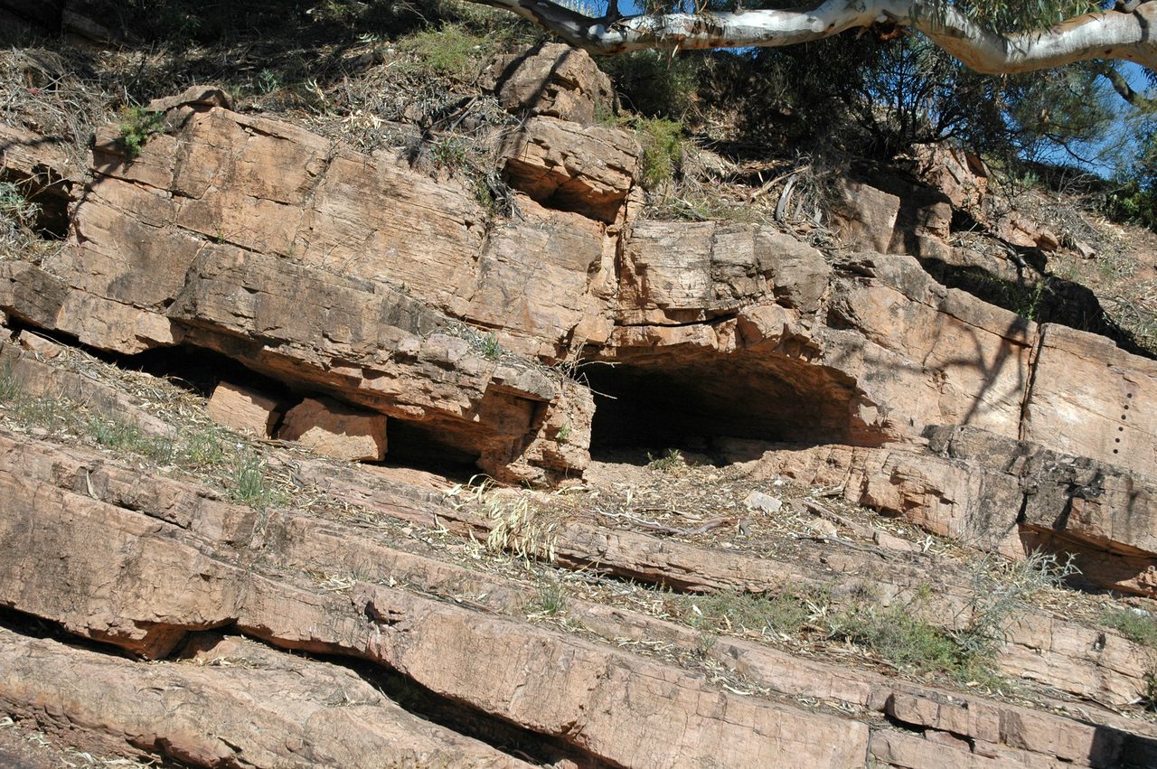 A sunlit rock face of thick pinkish tan beds tilted well off horizontal, with two dark hollows undercut beneath overhangs, dry eucalypt leaves caught along the ledges and a pale gum branch across the sky above