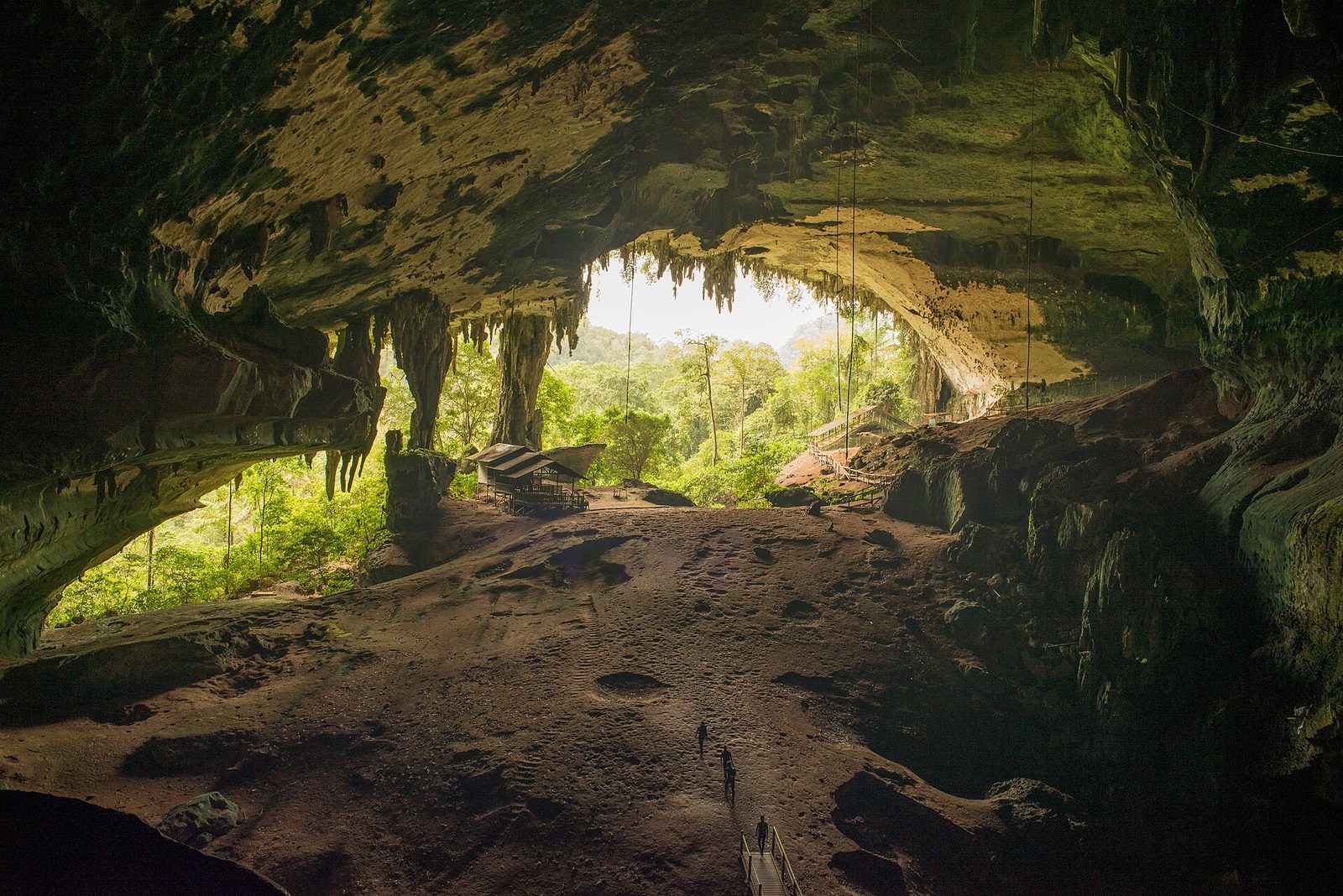 The Niah Great Cave seen from inside, looking out through an enormous arched mouth framed by rock and hanging stalactites, with green rainforest blazing in the light beyond. Long thin ropes hang from the roof. A small shelter with a corrugated roof stands at mid-left, a boardwalk with railings runs out to the right and another leads in at the bottom centre, and three tiny human figures on the broad pale earth floor give the scale.